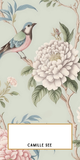Cash and Check Envelopes [Chinoiserie Collection]